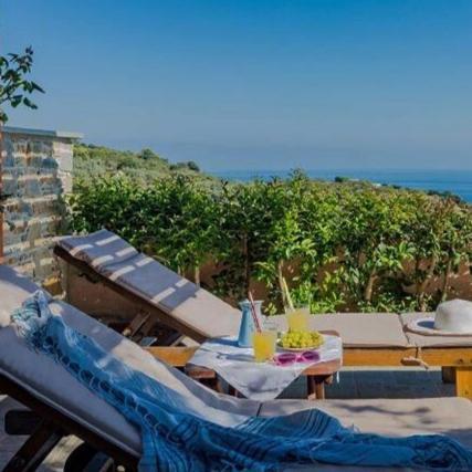 Villa Alegria Skopelos Town Ngoại thất bức ảnh